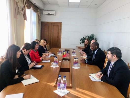 Viorica Dumbrăveanu a avut o întrevedere cu Excelența Sa Ambasadorul SUA, Dereck J. Hogan
