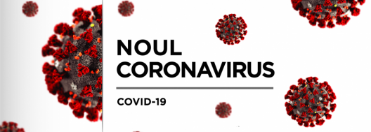 522 cazuri de COVID-19, înregistrate în ultimele 24 ore