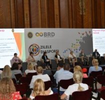 Provocările şi priorităţile sectorului socio-medical, discutate cu reprezentanţii diasporei