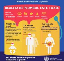Mai mult de jumătate din numărul total al copiilor din lume sunt expuși riscului intoxicării cu plumb