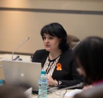 Audieri publice privind „Progresele realizate în domeniul prevenirii şi combaterii violenţei domestice”