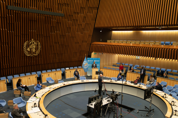 Выступление министра Виорики Думбрэвяну на 73-й Всемирной ассамблее здравоохранения по внедрению Международных медико-санитарных правил