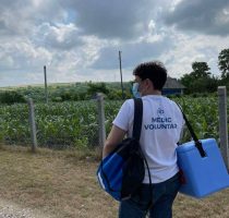 În acest weekend, vor fi organizate acțiuni de informare și de vaccinare împotriva COVID-19 în mai multe raioane din țară