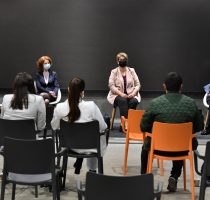 Echipa Ministerului Sănătății s-a întâlnit cu jurnaliștii în cadrul unui offline