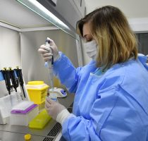 Laboratorul din cadrul Centrului de Sănătate Publică Soroca va efectua în premieră teste PCR pentru diagnosticarea SARS-CoV-2