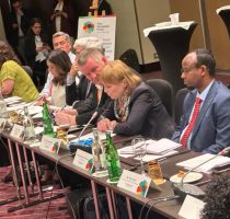 Ministra Ala Nemerenco a susținut o alocuțiune la reuniunea la nivel înalt a Fondului Pandemic
