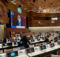 Ministra Sănătății a ținut un discurs în cadrul sesiunii plenare a Adunării Mondiale a Sănătății