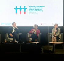 Ministra Sănătății participă la cea de-a noua reuniune la nivel înalt a Inițiativei pentru Țările Mici