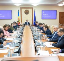 A fost aprobat Programul național privind bolile rare, pentru anii 2024-2028