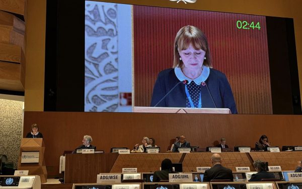 Ministra Sănătății a avut o intervenție în cadrul sesiunii plenare a Adunării Mondiale a Sănătății