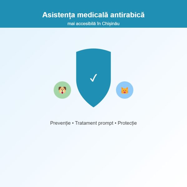 Asistența medicală antirabică devine mai accesibilă pentru populația din municipiul Chișinău